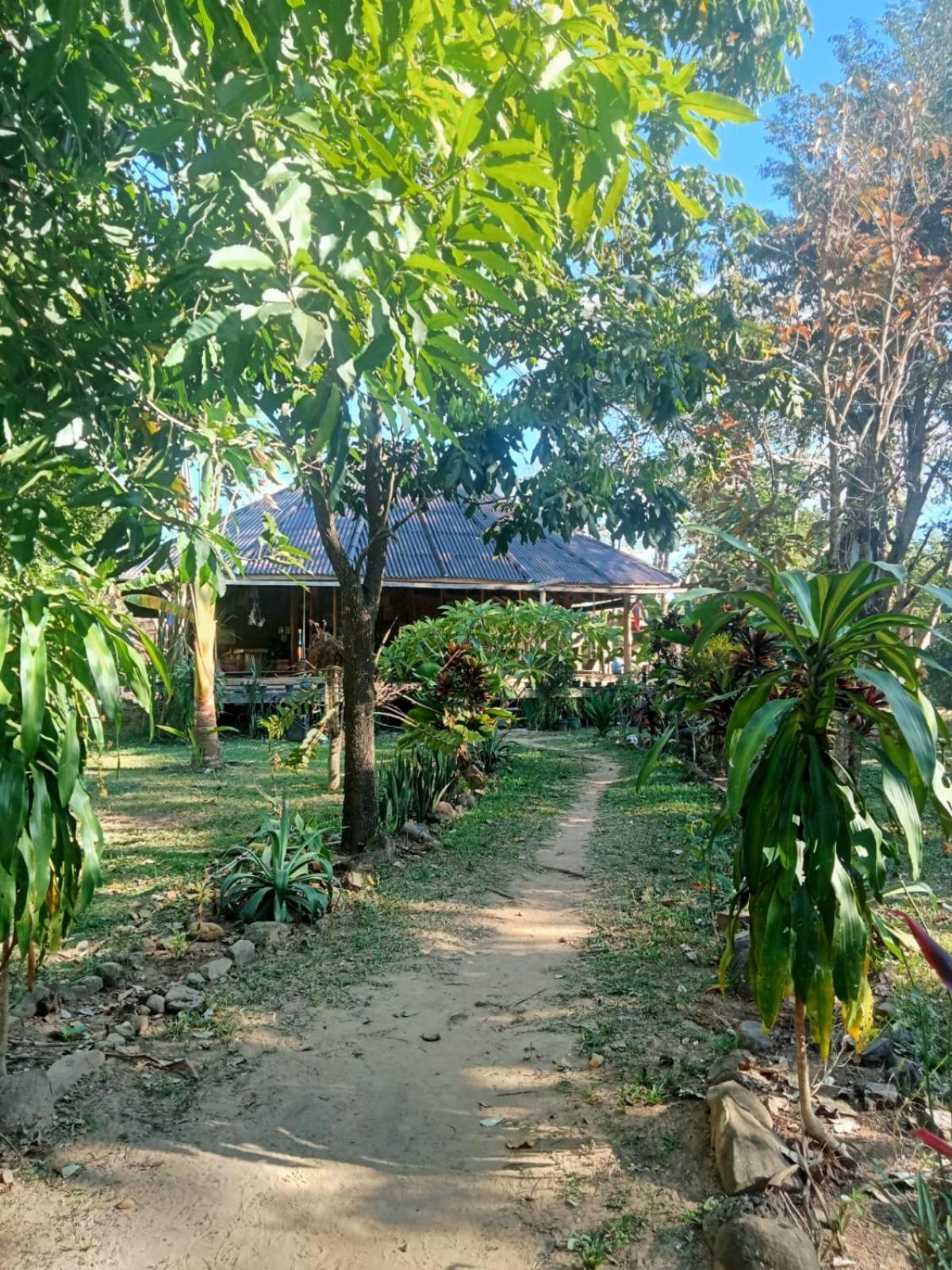 Fandee Island Treehouses & Ziplines - Tad Lo, Bolaven Loop Pakse Ban Kiangtat Esterno foto